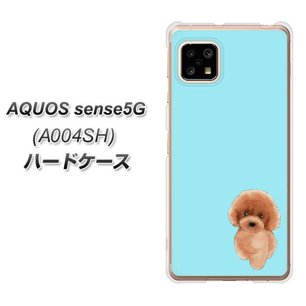 SoftBank アクオスセンス5G A004SH 高画質仕上げ 背面印刷 ハードケース【YJ050 トイプードルレッド（ブルー）】
