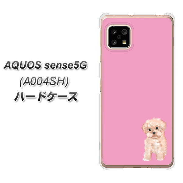 SoftBank アクオスセンス5G A004SH 高画質仕上げ 背面印刷 ハードケース【YJ061 トイプードルアプリコット（ピンク）】