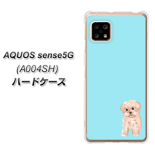 SoftBank アクオスセンス5G A004SH 高画質仕上げ 背面印刷 ハードケース【YJ062 トイプードルアプリコット（ブルー）】