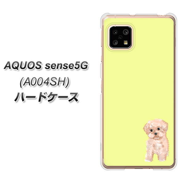 SoftBank アクオスセンス5G A004SH 高画質仕上げ 背面印刷 ハードケース【YJ064 トイプードルアプリコット（イエロー）】
