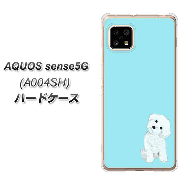 SoftBank アクオスセンス5G A004SH 高画質仕上げ 背面印刷 ハードケース【YJ070 トイプードルホワイト（ブルー）】