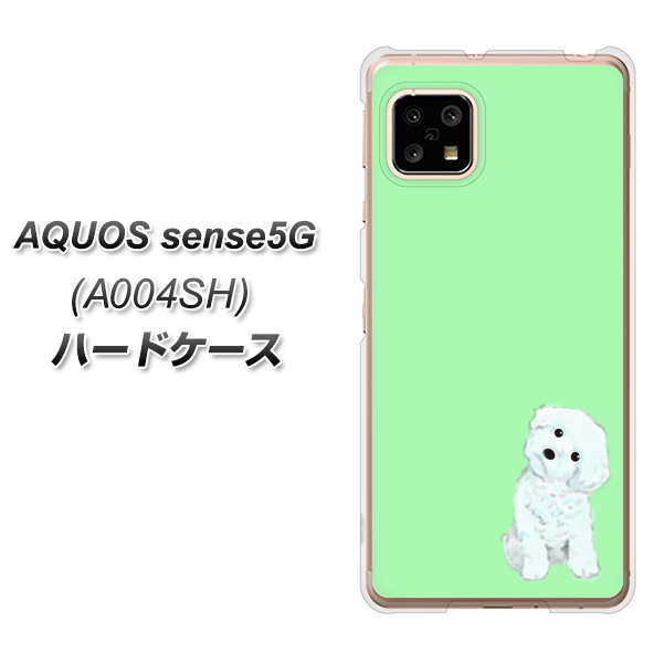 SoftBank アクオスセンス5G A004SH 高画質仕上げ 背面印刷 ハードケース【YJ071 トイプードルホワイト（グリーン）】