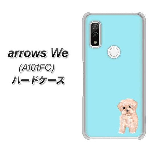 arrows We A101FC 高画質仕上げ 背面印刷 ハードケース【YJ062 トイプードルアプリコット（ブルー）】