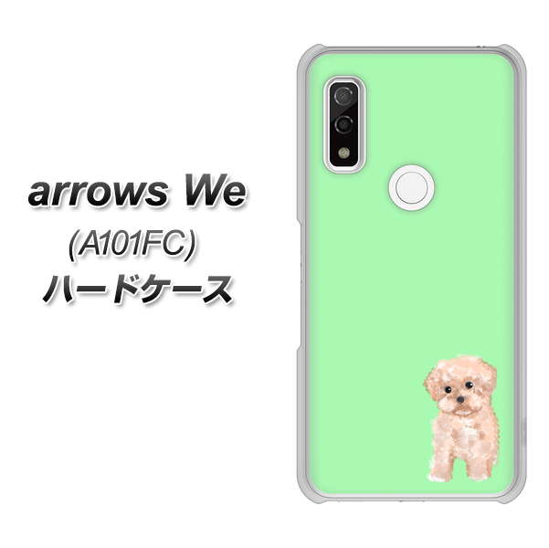 arrows We A101FC 高画質仕上げ 背面印刷 ハードケース【YJ063 トイプードルアプリコット（グリーン）】