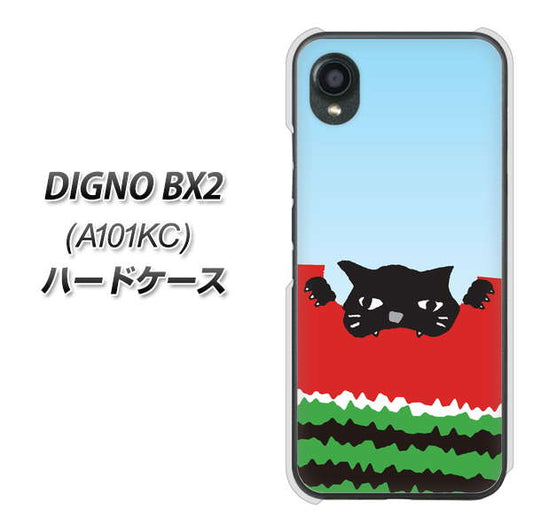 DIGNO BX2 A101KC SoftBank 高画質仕上げ 背面印刷 ハードケース【IA815 すいかをかじるネコ(大)】