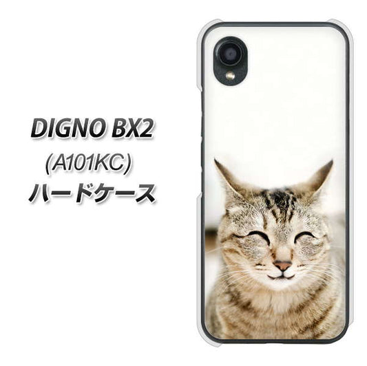 DIGNO BX2 A101KC SoftBank 高画質仕上げ 背面印刷 ハードケース【VA801 笑福ねこ】