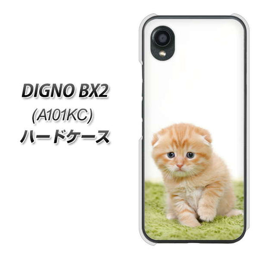 DIGNO BX2 A101KC SoftBank 高画質仕上げ 背面印刷 ハードケース【VA802 ネコこっそり】