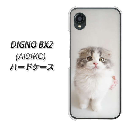 DIGNO BX2 A101KC SoftBank 高画質仕上げ 背面印刷 ハードケース【VA803 まっていますネコ】