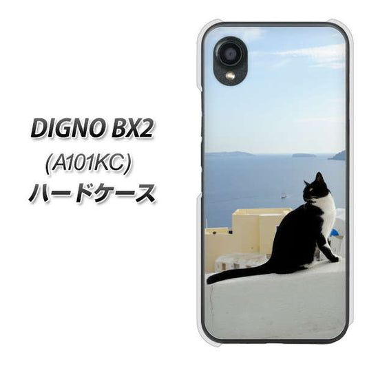 DIGNO BX2 A101KC SoftBank 高画質仕上げ 背面印刷 ハードケース【VA805 ネコと地中海】