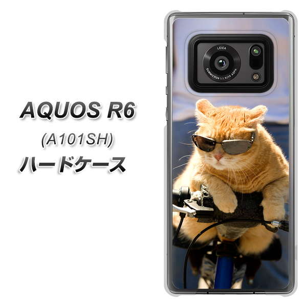アクオスR6 A101SH 高画質仕上げ 背面印刷 ハードケース【595 にゃんとサイクル】