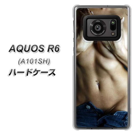 アクオスR6 A101SH 高画質仕上げ 背面印刷 ハードケース【602 ボディライン】