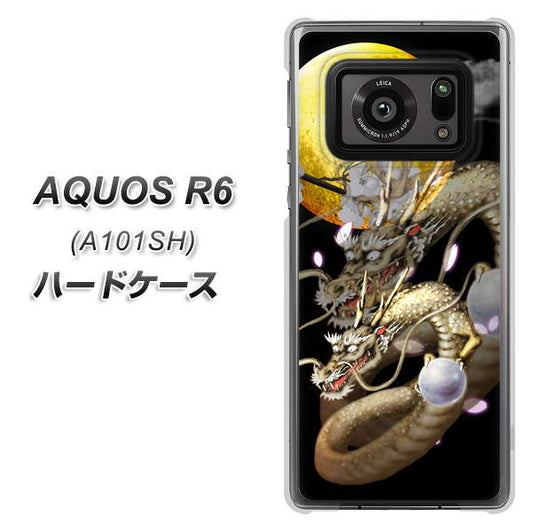 アクオスR6 A101SH 高画質仕上げ 背面印刷 ハードケース【1003 月と龍】