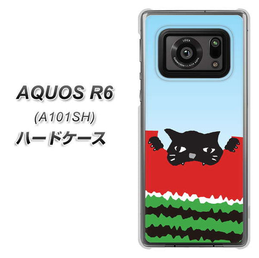 アクオスR6 A101SH 高画質仕上げ 背面印刷 ハードケース【IA815 すいかをかじるネコ(大)】