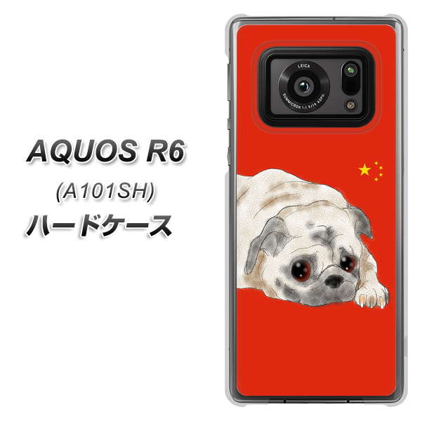 アクオスR6 A101SH 高画質仕上げ 背面印刷 ハードケース【YD857 パグ03】