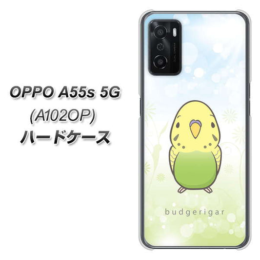 OPPO A55s 5G A102OP SoftBank 高画質仕上げ 背面印刷 ハードケース【SC838 セキセイインコ グリーン】