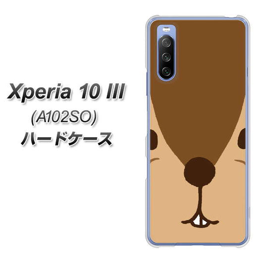Y!mobile エクスペリア10 III A102SO 高画質仕上げ 背面印刷 ハードケース【349 りす】