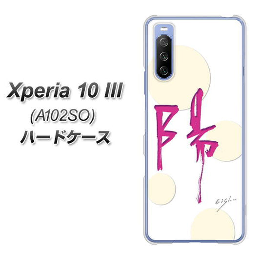 Y!mobile エクスペリア10 III A102SO 高画質仕上げ 背面印刷 ハードケース【OE833 陽】