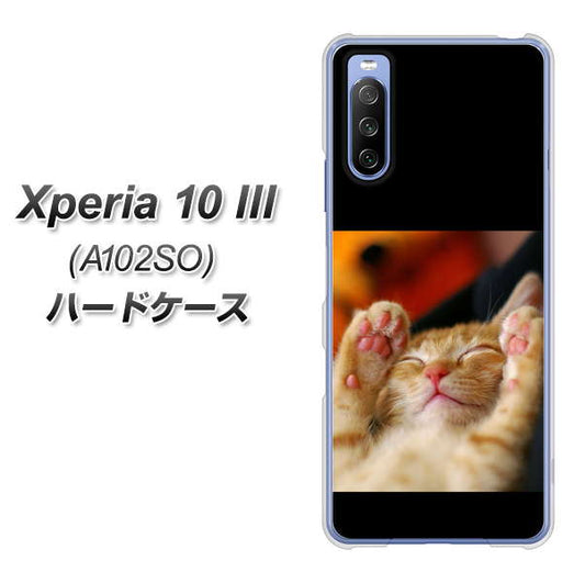 Y!mobile エクスペリア10 III A102SO 高画質仕上げ 背面印刷 ハードケース【VA804 爆睡するネコ】