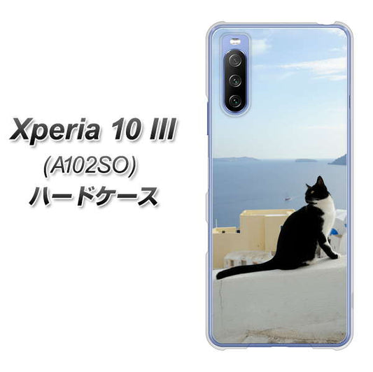 Y!mobile エクスペリア10 III A102SO 高画質仕上げ 背面印刷 ハードケース【VA805 ネコと地中海】