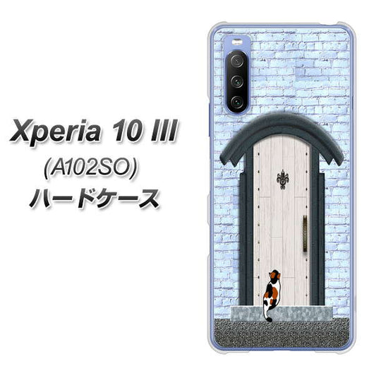 Y!mobile エクスペリア10 III A102SO 高画質仕上げ 背面印刷 ハードケース【YA951 石ドア01】