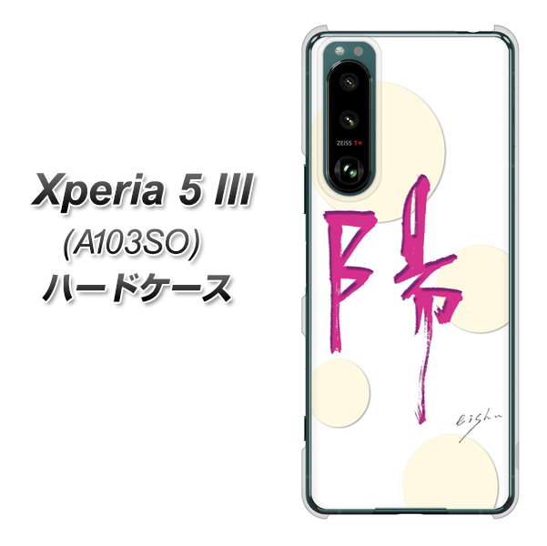 Xperia 5 III A103SO SoftBank 高画質仕上げ 背面印刷 ハードケース【OE833 陽】