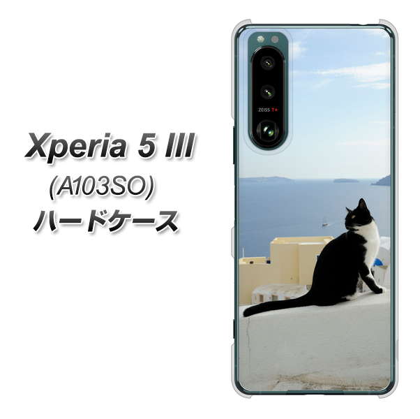 Xperia 5 III A103SO SoftBank 高画質仕上げ 背面印刷 ハードケース【VA805 ネコと地中海】