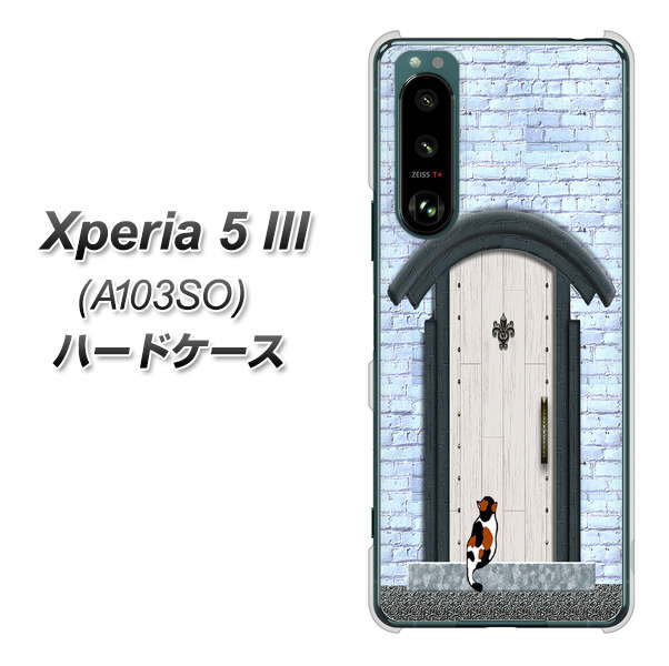 Xperia 5 III A103SO SoftBank 高画質仕上げ 背面印刷 ハードケース【YA951 石ドア01】