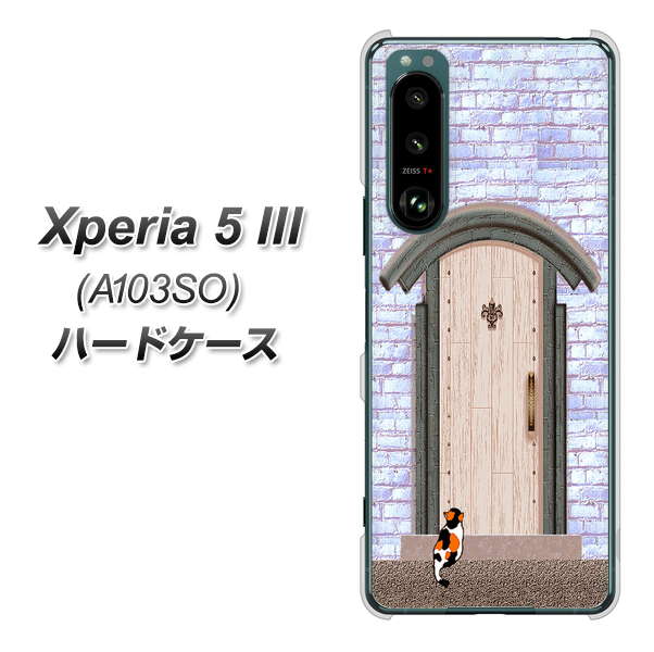 Xperia 5 III A103SO SoftBank 高画質仕上げ 背面印刷 ハードケース【YA952 石ドア02 素材クリア】