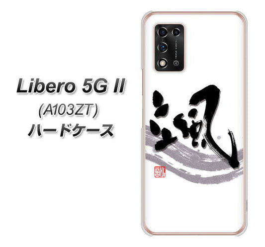 Libero 5G II A103ZT Y!mobile 高画質仕上げ 背面印刷 ハードケース【OE827 颯】