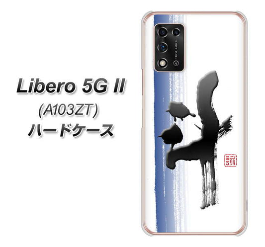 Libero 5G II A103ZT Y!mobile 高画質仕上げ 背面印刷 ハードケース【OE829 斗】