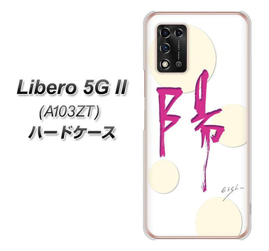 Libero 5G II A103ZT Y!mobile 高画質仕上げ 背面印刷 ハードケース【OE833 陽】