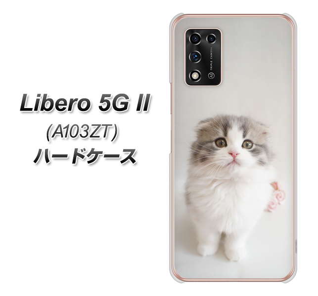 Libero 5G II A103ZT Y!mobile 高画質仕上げ 背面印刷 ハードケース【VA803 まっていますネコ】