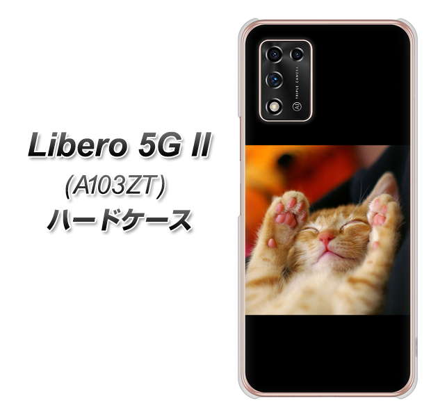 Libero 5G II A103ZT Y!mobile 高画質仕上げ 背面印刷 ハードケース【VA804 爆睡するネコ】