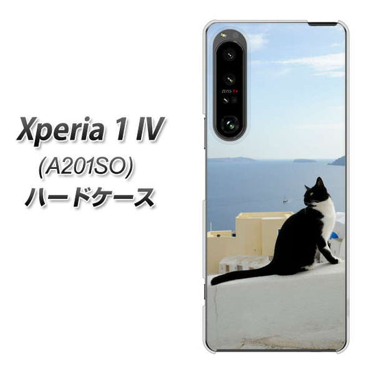 Xperia 1 IV A201SO SoftBank 高画質仕上げ 背面印刷 ハードケース【VA805 ネコと地中海】