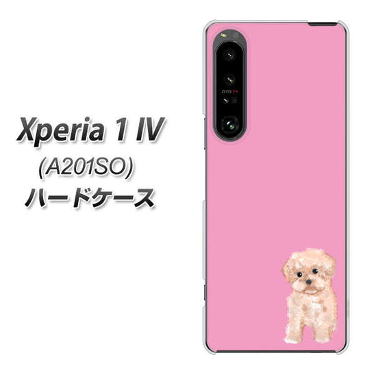 Xperia 1 IV A201SO SoftBank 高画質仕上げ 背面印刷 ハードケース【YJ061 トイプードルアプリコット（ピンク）】