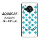 AQUOS R7 A202SH SoftBank 高画質仕上げ 背面印刷 ハードケース【OE821 12月ターコイズ】