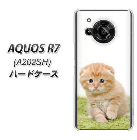 AQUOS R7 A202SH SoftBank 高画質仕上げ 背面印刷 ハードケース【VA802 ネコこっそり】