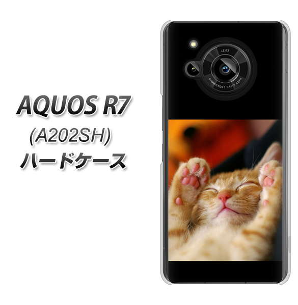 AQUOS R7 A202SH SoftBank 高画質仕上げ 背面印刷 ハードケース【VA804 爆睡するネコ】