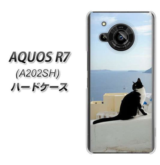 AQUOS R7 A202SH SoftBank 高画質仕上げ 背面印刷 ハードケース【VA805 ネコと地中海】