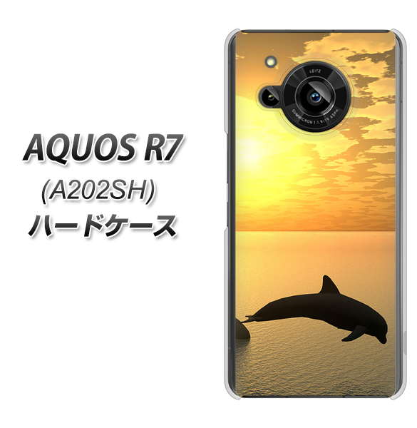 AQUOS R7 A202SH SoftBank 高画質仕上げ 背面印刷 ハードケース【VA845 夕暮れのドルフィン】