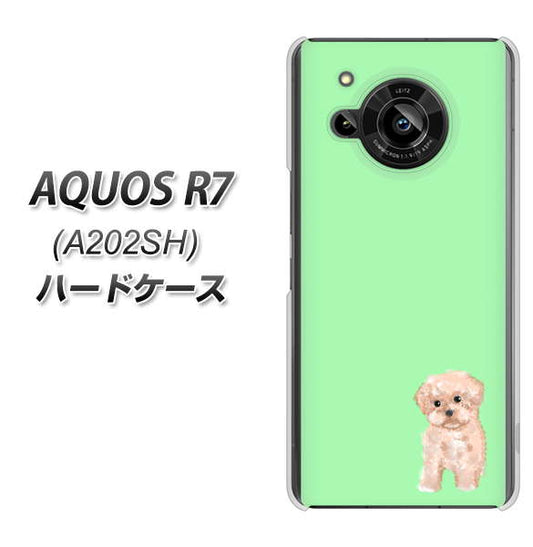 AQUOS R7 A202SH SoftBank 高画質仕上げ 背面印刷 ハードケース【YJ063 トイプードルアプリコット（グリーン）】