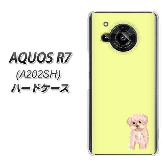 AQUOS R7 A202SH SoftBank 高画質仕上げ 背面印刷 ハードケース【YJ064 トイプードルアプリコット（イエロー）】