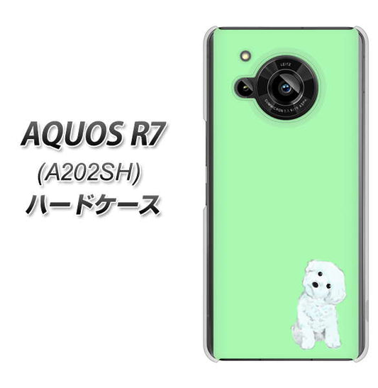 AQUOS R7 A202SH SoftBank 高画質仕上げ 背面印刷 ハードケース【YJ071 トイプードルホワイト（グリーン）】