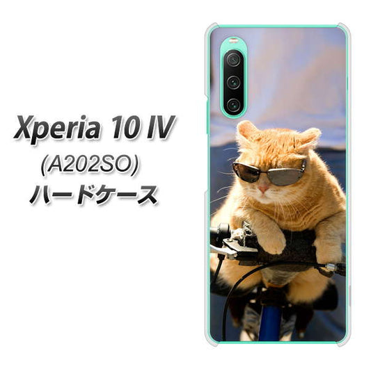 Xperia 10 IV A202SO SoftBank 高画質仕上げ 背面印刷 ハードケース【595 にゃんとサイクル】