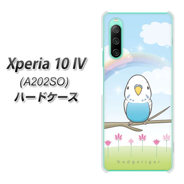 Xperia 10 IV A202SO SoftBank 高画質仕上げ 背面印刷 ハードケース【SC839 セキセイインコ ブルー】