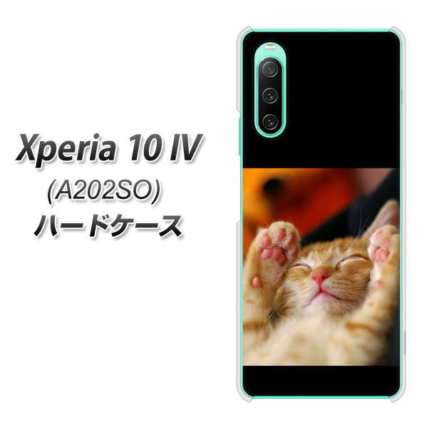 Xperia 10 IV A202SO SoftBank 高画質仕上げ 背面印刷 ハードケース【VA804 爆睡するネコ】