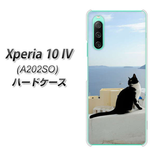 Xperia 10 IV A202SO SoftBank 高画質仕上げ 背面印刷 ハードケース【VA805 ネコと地中海】
