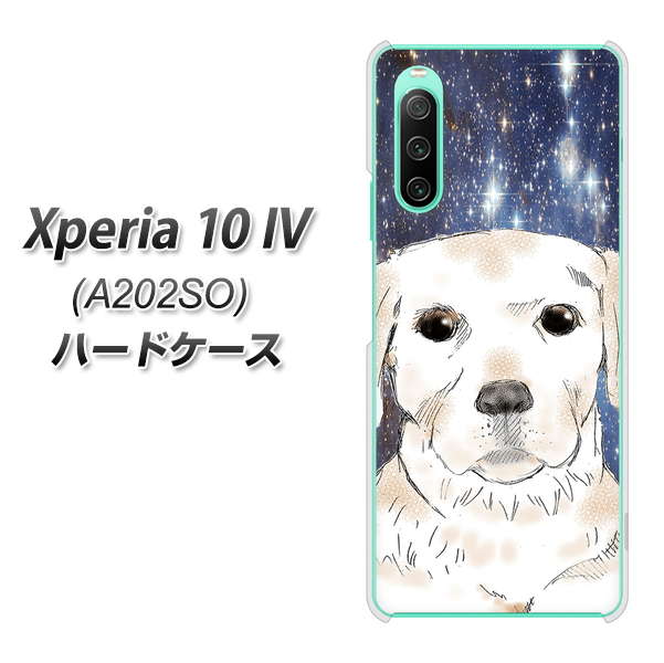 Xperia 10 IV A202SO SoftBank 高画質仕上げ 背面印刷 ハードケース【YD820 ラブラドールレトリバー01】