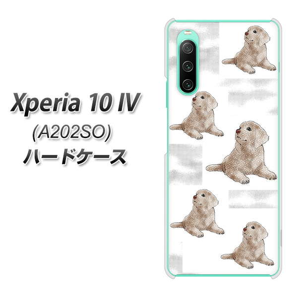 Xperia 10 IV A202SO SoftBank 高画質仕上げ 背面印刷 ハードケース【YD823 ラブラドールレトリバー04】