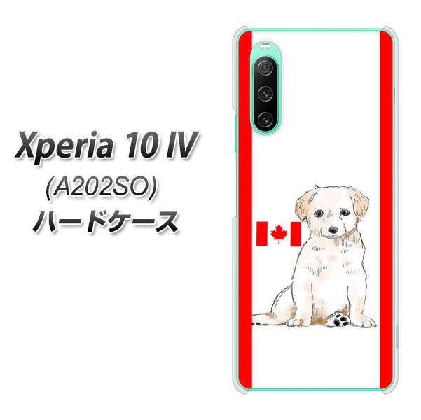 Xperia 10 IV A202SO SoftBank 高画質仕上げ 背面印刷 ハードケース【YD824 ラブラドールレトリバー05】